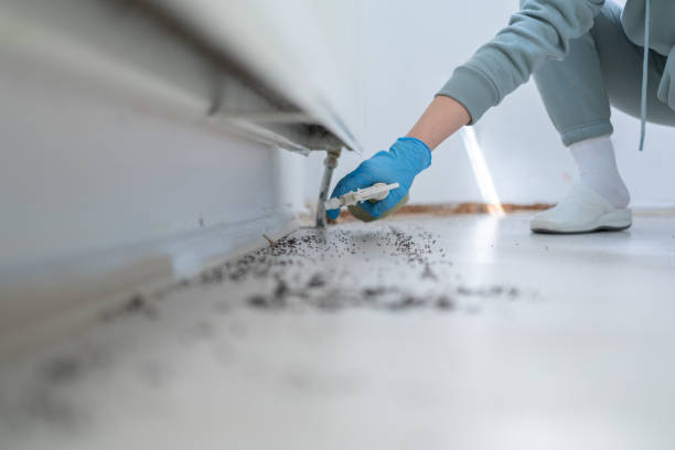 Best Cockroach Control Services  in Citrus Springs, FL